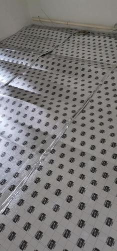 239279184 106568735070573 1448428047024017722 n