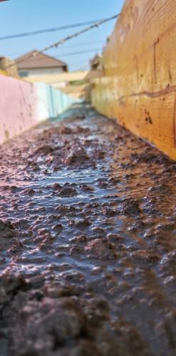 244428330 122551023472344 8837334484300444474 n