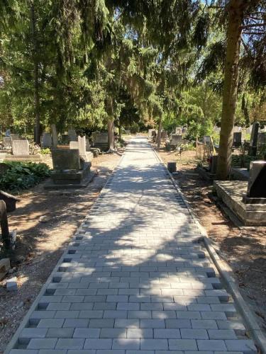 292288168 181024334291679 8288512168093169094 n