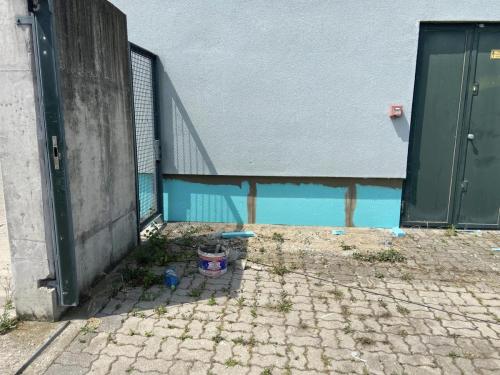 367730697 311994787866273 3396272562685869841 n