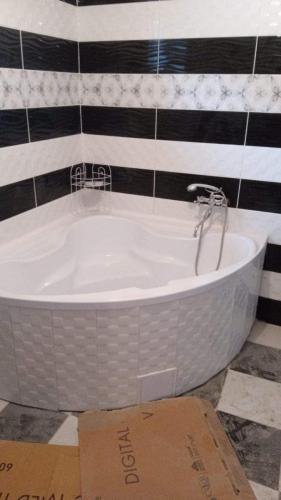 368013443 311991727866579 288775699605528528 n