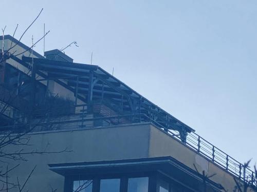 424643557 401170338948717 7763029789363343304 n