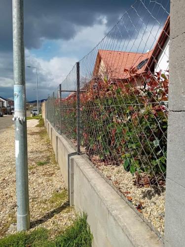 432779248 432267952505622 5604772343194458590 n