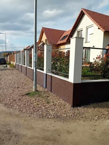 438172500 452783610454056 8988692527312527450 n